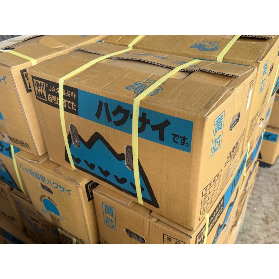BREEDプレミアム熟成マット【発酵の極み】大型ヘラクレス育成 50L／1