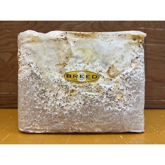 ペット用品 BREED【本州ブナ100%】菌糸ブロック 3500cc 10個（ブリード
