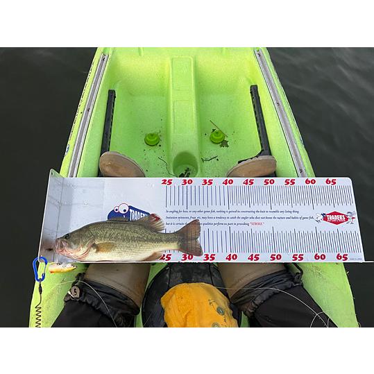 トレーダース・フィッシュスケール・琵琶湖バージョン《オールド