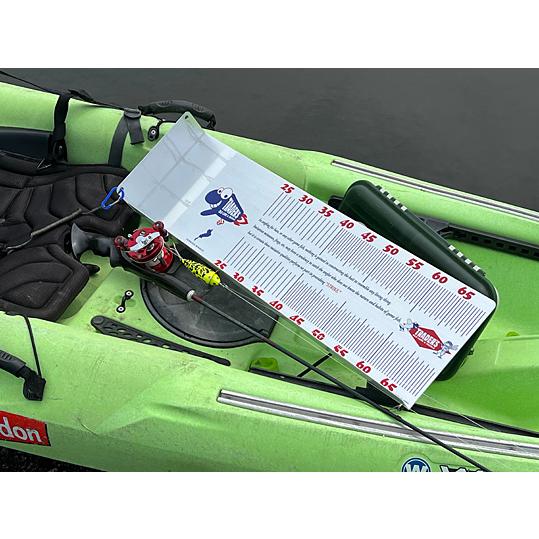 トレーダース・フィッシュスケール・琵琶湖バージョン《オールド