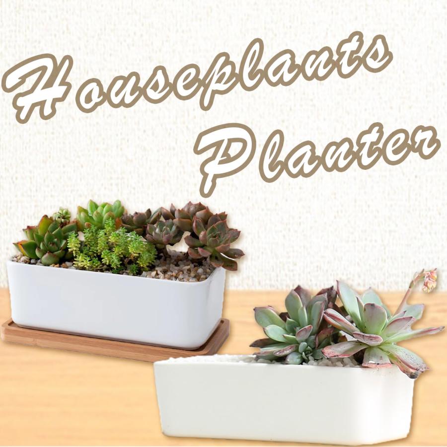 Crystal craft プランター セラミック オシャレ 植木鉢 多肉植物 Crystal craft プランター セラミック オシャレ 植木鉢 多肉植物