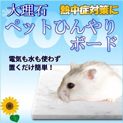 大理石でペットひんやりマット冷却タイルハムスター用 14 10ｃｍ 熱中症 暑さ対策 イタリア産白大理石