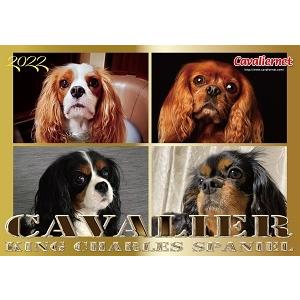 キャバリアネット（CavalierNet）　キャバリアカレンダー2022　（最終記念版です！） | 