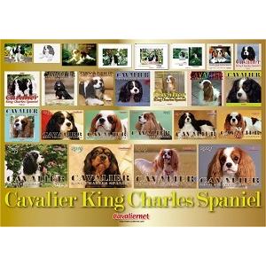 キャバリアネット（CavalierNet）　キャバリアカレンダー2022　（最終記念版です！） |  | 01