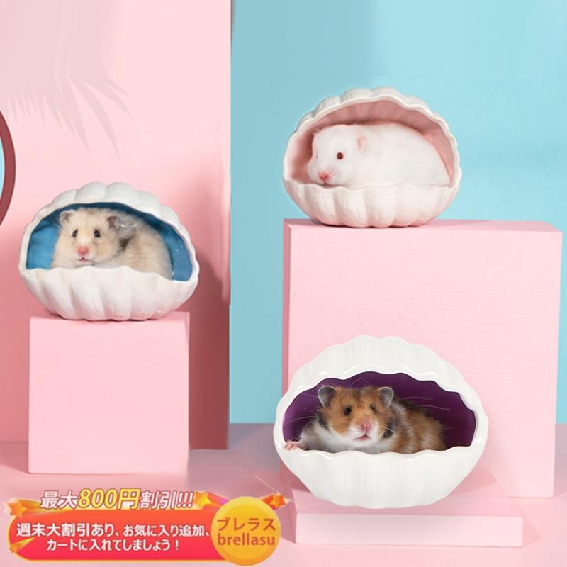 送料無料 ハムスター ハウス 陶器 貝殻 噛み耐え おへや お部屋 おうち 小屋 巣 寝床 隠れ家 可愛い おしゃれ ケージ内装 小動物 Brellasu Cw Csw 03 ブレラス 通販 Yahoo ショッピング
