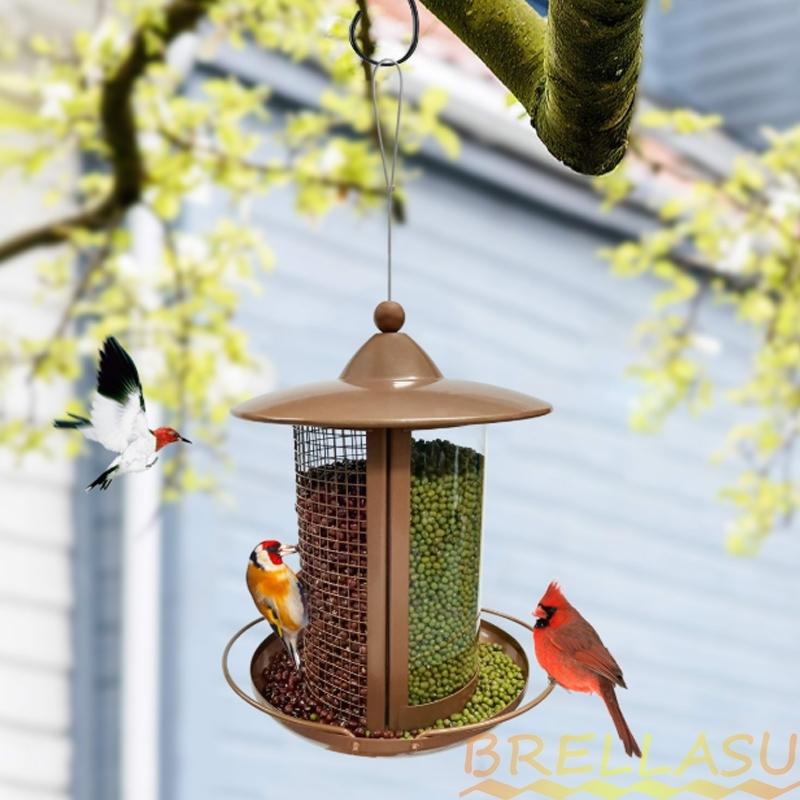 バードフィーダー 鳥餌箱 吊り下げ 鳥給餌器 自動給餌器 野鳥の餌台 餌やり 野鳥 小鳥 鳥用品 透明 屋外 便利 ペット食器 おしゃれ Risin777 Cw Wnq 01 1 千物store 通販 ケージバードフィーダー屋外吊り下げ強い構造鳥をきれいにするのが簡単 Ciudaddelmaizslp Gob Mx
