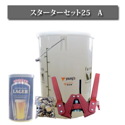 飲料・酒 【新品】アップルサイダービール 手作りキットセット