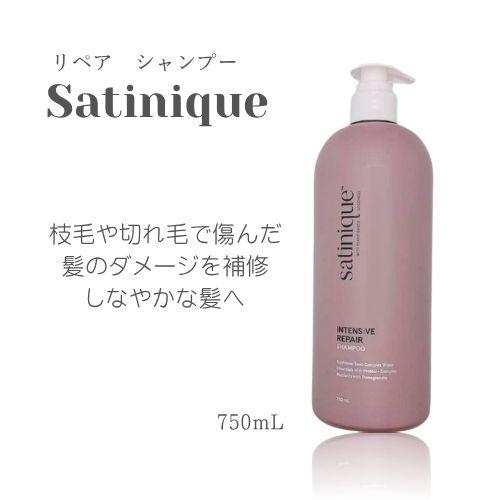 Amway アムウェイ サテニーク エクストラ シャンプー （地肌ケア