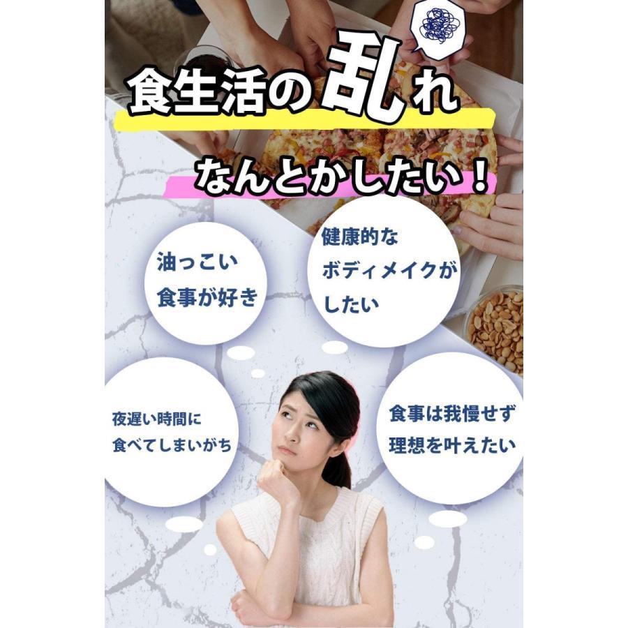 新谷酵素 夜遅いごはんでもDIET Wクレンズボディメイク 約30回分 : BR