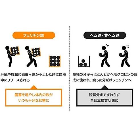 レピールオーガニック レピールまめ鉄 45g : 4580531540030 : BRハウス 
