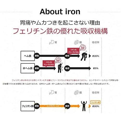 レピールオーガニック レピールまめ鉄 45g : 4580531540030 : BRハウス 
