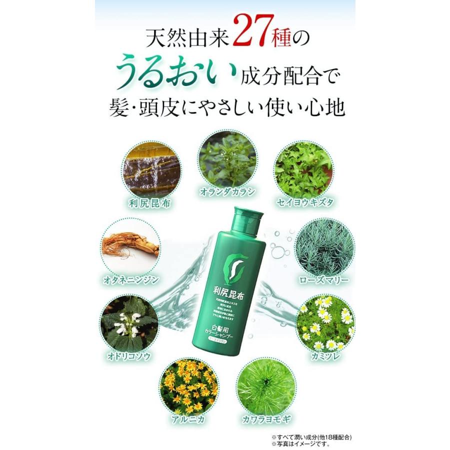 利尻 利尻カラーシャンプー ダークブラウン 500ml 大容量サイズ 利尻 利尻カラーシャンプー ダークブラウン 500ml 大容量サイズ
