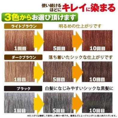 利尻 利尻カラーシャンプー ブラック 500ml 大容量サイズ : BRハウス