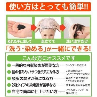 利尻 利尻カラーシャンプー ブラック 500ml 大容量サイズ : BRハウス
