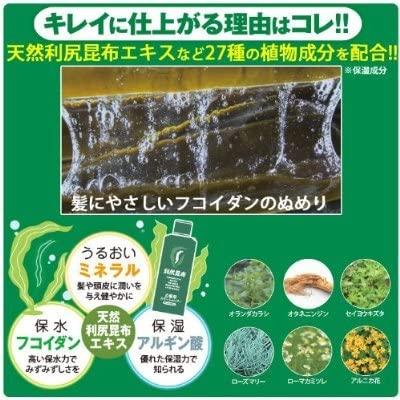利尻カラーシャンプーB ブラック　500 mL Amazon | Sastty (サスティ) 【白髪用】大容量サイズ 利尻カラー