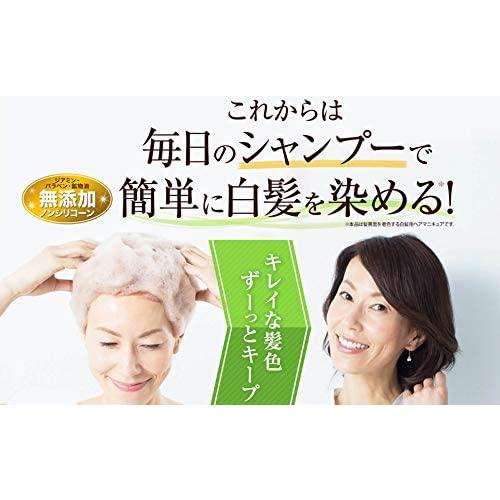 利尻カラーシャンプー ナチュラルブラウン 500ml 3本セット 利尻 利尻カラーシャンプー ナチュラルブラウン 500ml 大容量サイズ