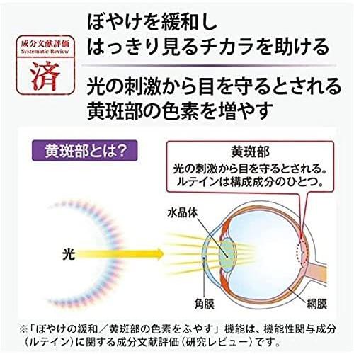 ファンケル Fancl えんきん 機能性表示食品 40日 4日分 リニューアル Brハウス Paypayモール店 通販 Paypayモール
