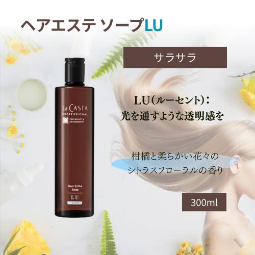 La CASTA（ラ・カスタ） プロフェッショナル ヘアエステ ソープLU