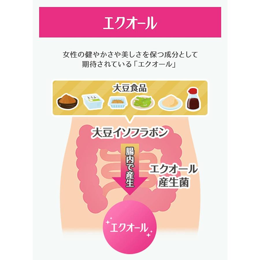 小林製薬 命の母 エクオールと和漢のサプリ 60粒 約20日分 : BRハウス