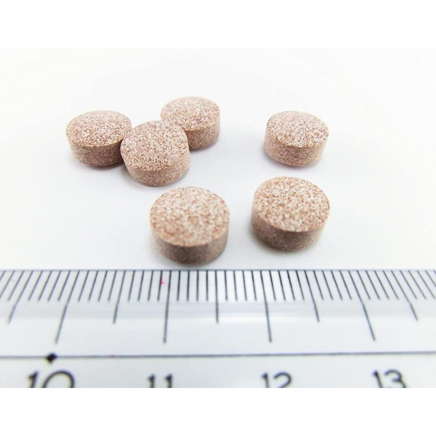 小林製薬 サラシア100 約20日分 60粒 : BRハウス Yahoo!店 - 通販