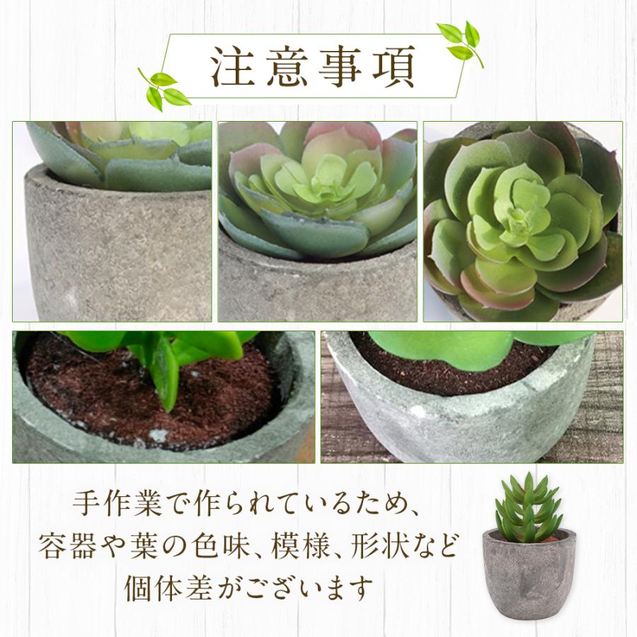 5点セット フェイクグリーン ミニ 人工観葉植物 人工多肉植物 観葉植物