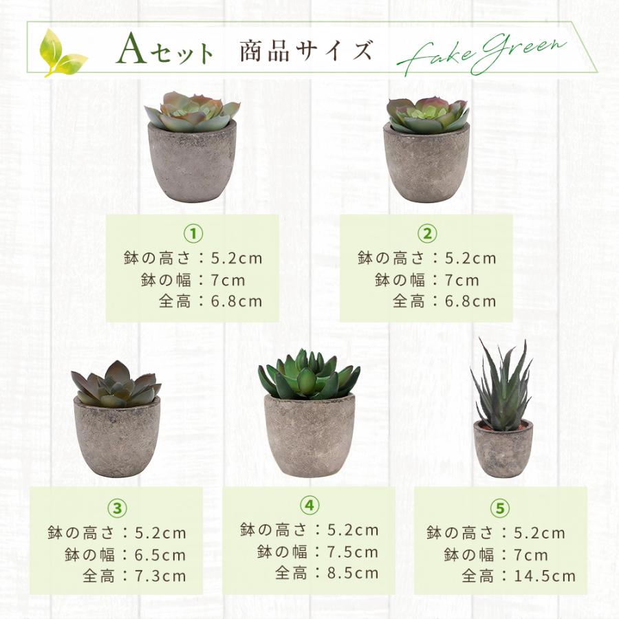 5点セット フェイクグリーン ミニ 人工観葉植物 人工多肉植物 観葉植物