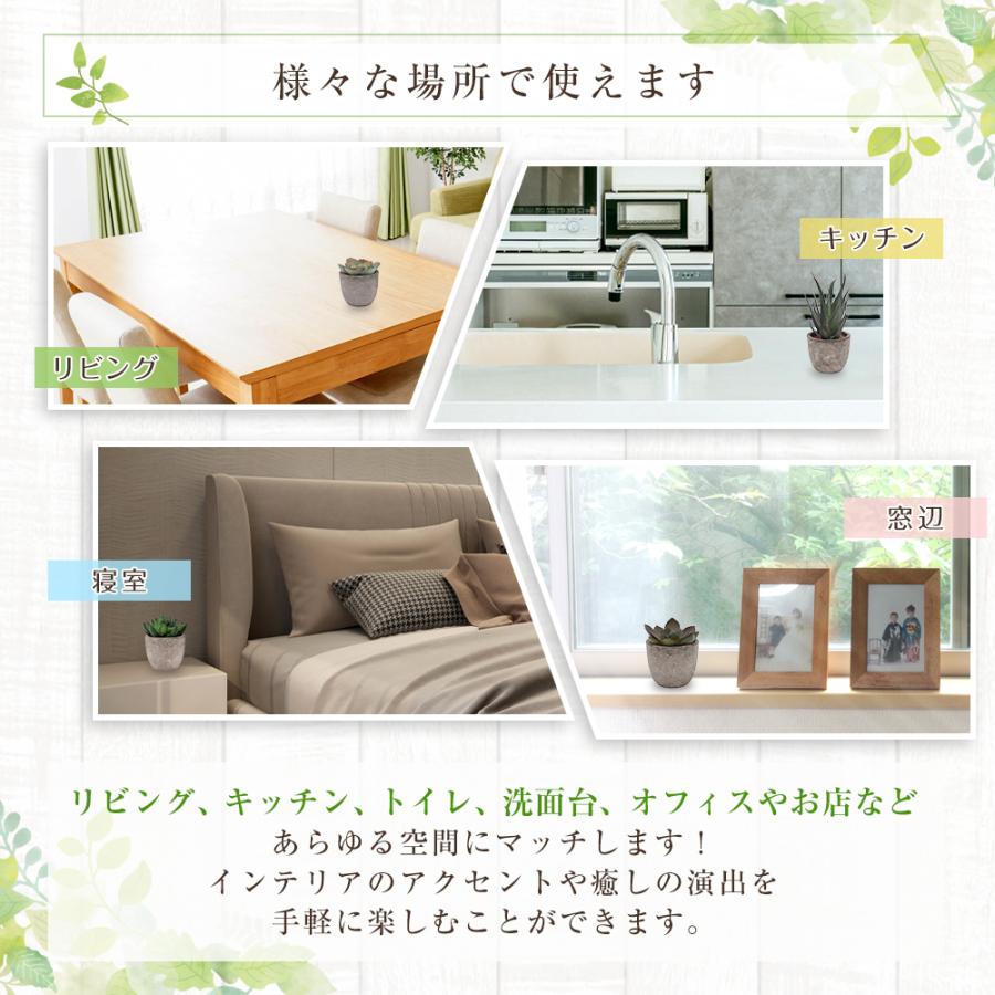 5点セット フェイクグリーン ミニ 人工観葉植物 人工多肉植物 観葉植物