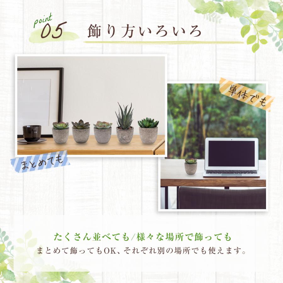 5点セット フェイクグリーン ミニ 人工観葉植物 人工多肉植物 観葉植物