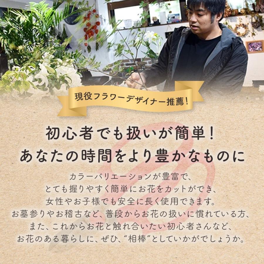 選べる6色 花ばさみ 花挟 花切りばさみ 花 はさみ ハサミ 園芸