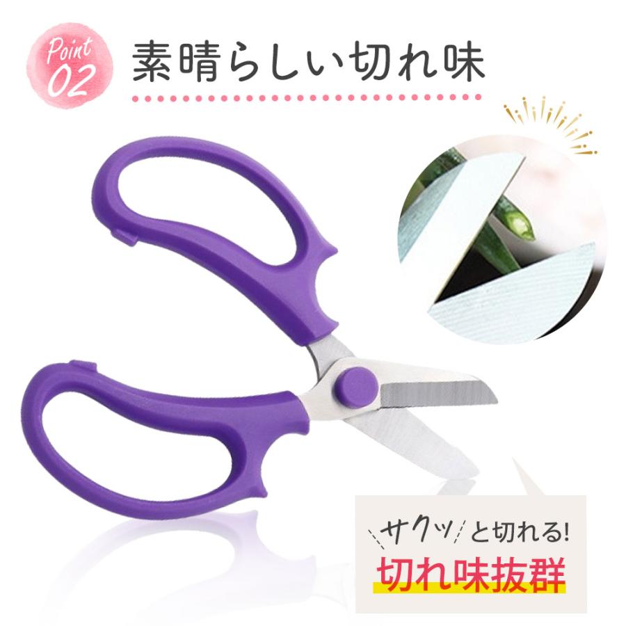 選べる6色 花ばさみ 花挟 花切りばさみ 花 はさみ ハサミ 園芸