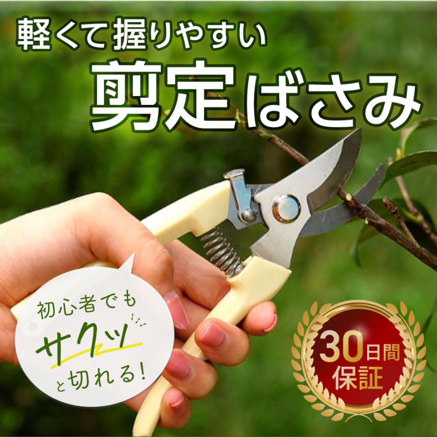選べる6色 剪定ばさみ 小型 軽量 安全ロック付 ステンレス 女性 握り