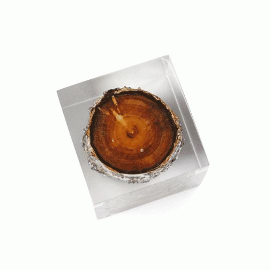 Resin With Wood Inside “Large”レジンウィズウッドインサイド 