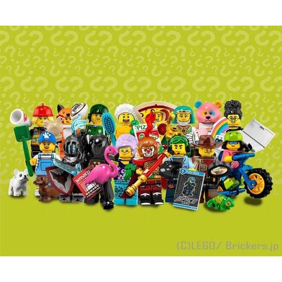 レゴ ミニフィギュアシリーズ 19 Lego ミニフィギュア シリーズ19 フルコンプ Lego 人形 L Comp レゴブロック専門店ブリッカーズ 通販 Yahoo ショッピング
