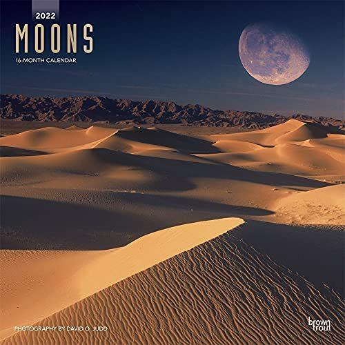 Moons 22 Wall Calendar 月のカレンダー 日曜始まり 並行輸入 W7e6wmwzzr 本 雑誌 コミック Robotnature Com