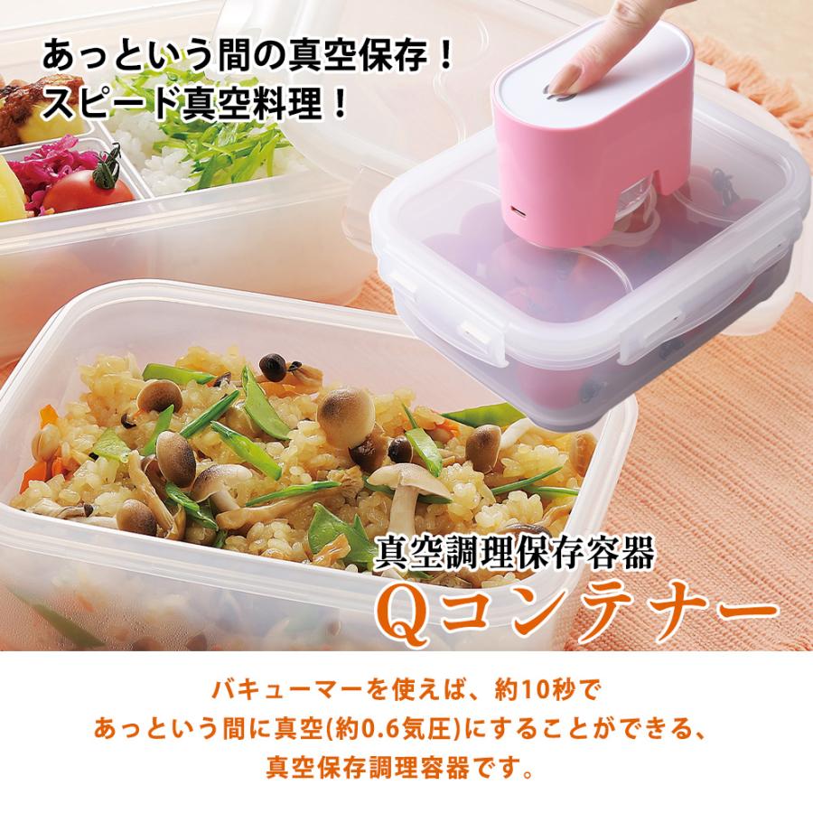 真空パック機 セット バキューム 専用 コンテナー 浅型 3個組 真空調理