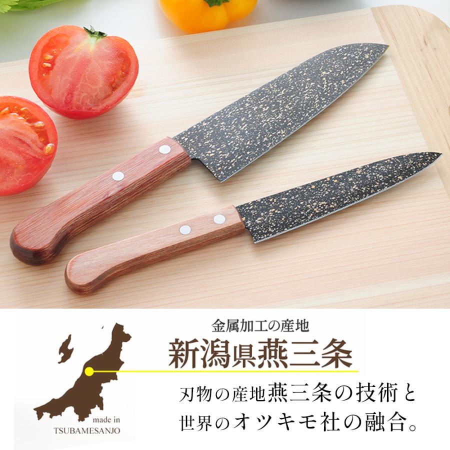 三徳包丁 POLYGO(ポリゴ）ファインソーブレード セット よく切れる 三徳包丁 ペティナイフ 2本セット ステンレス 燕三条  魚 キッチン おすすめ 捌く 人気包丁 | STYLENEO | 01