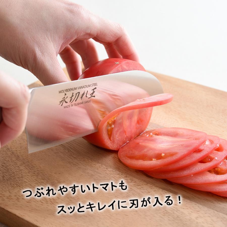 三徳包丁 日本製 包丁 ステンレス 猫 万能包丁 燕三条 包丁 永切れ王 和包丁 TV放映 切れる 三徳庖丁 庖丁 ほうちょう ナイフ 永切れ包丁 切れ味 調理器具 | STYLENEO | 04