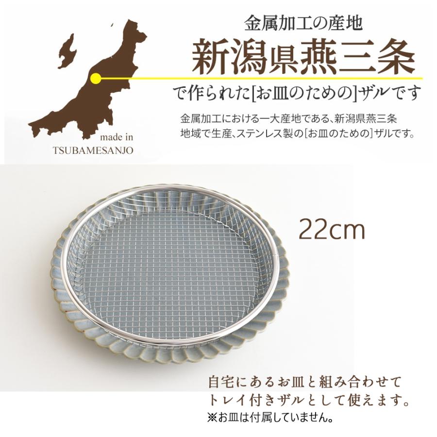 じらいザル出品 STYLENEO 平ザル 22cm お皿 万能 ザル 燕三条 日本製 ステンレス