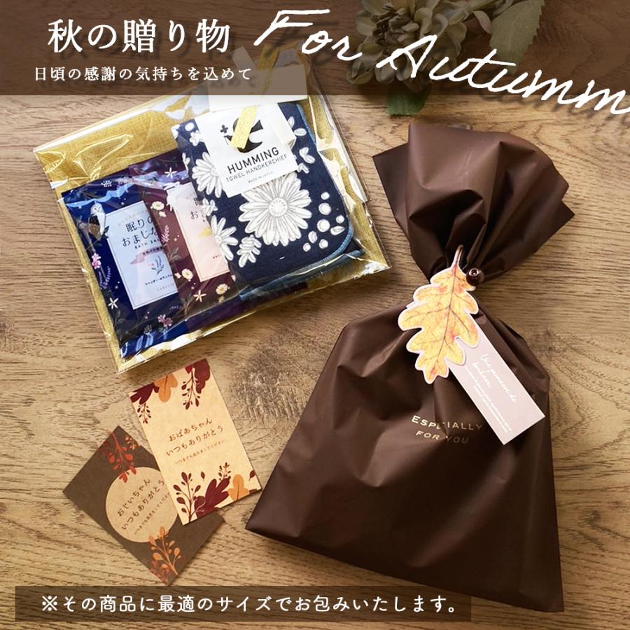 ポチ袋 フレデリック レオ レオニ ぽちぶっぐ おもしろ かわいい キャラクター 丑 年 おしゃれ ねこ お年玉 豆 和紙 お祝い お 小遣い 小さい 折らずに ギフト | STYLENEO | 18