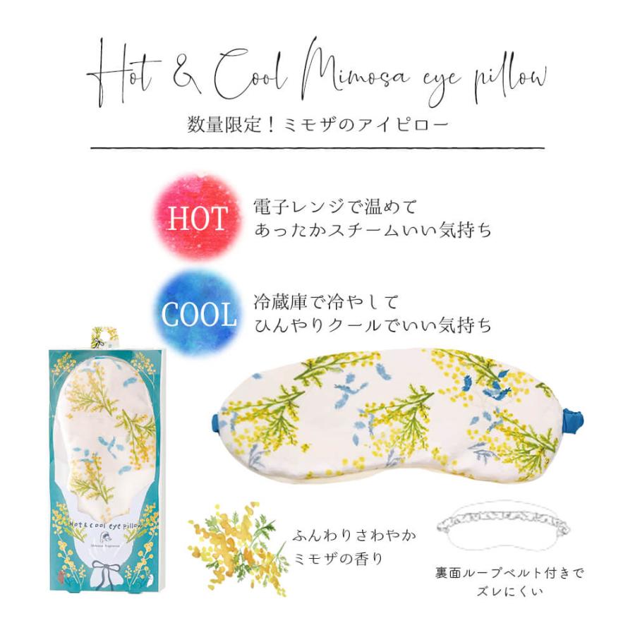 アイマスク 睡眠 ホットアイマスク ギフト アイピロー 温 冷 冷蔵庫