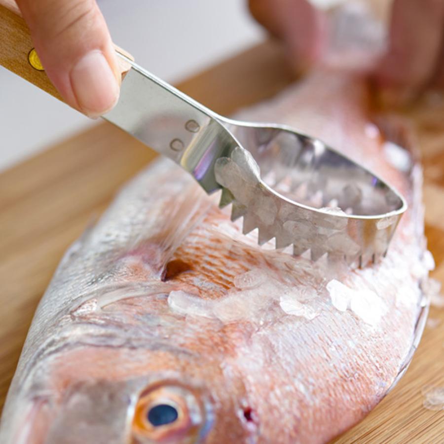 うろこ取り 鱗取り 魚 ステンレス 215mm 日本製 燕三条 身を傷めない 鱗とり キッチン用品 鱗がきれいに取れる コンパクト 調理 三枚おろし 釣り 便利 調理器具 | STYLENEO | 06