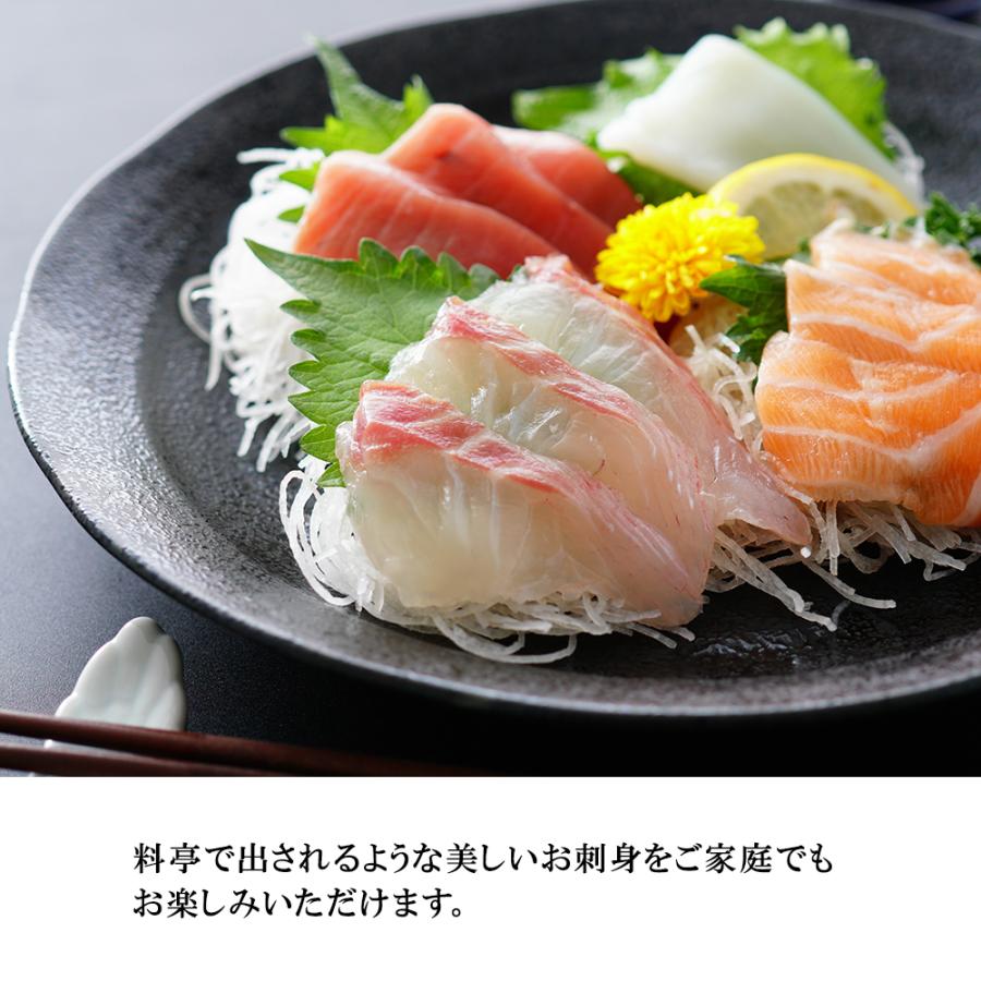 STYLENEO 包丁 柳刃包丁 21cm 刺身包丁 日本製 燕三条製造 魚 特選職人
