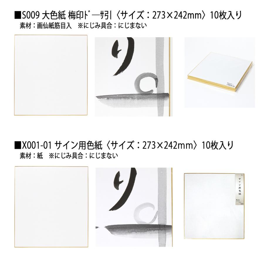 専用ページ 大色紙 手書き STYLENEO 大色紙 10枚セット 色紙 メッセージボード 色紙 サイン