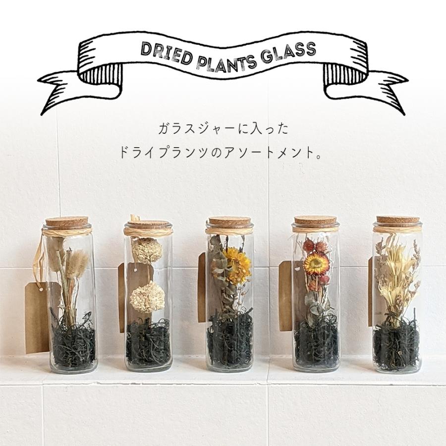 ドライフラワー インテリア おしゃれ かわいい かっこいい シンプル ガラス 瓶 ギフト 誕生日 女性 男性 プレゼント インテリア 祝い お中元 Td0006 ハッピーストア 通販 Yahoo ショッピング