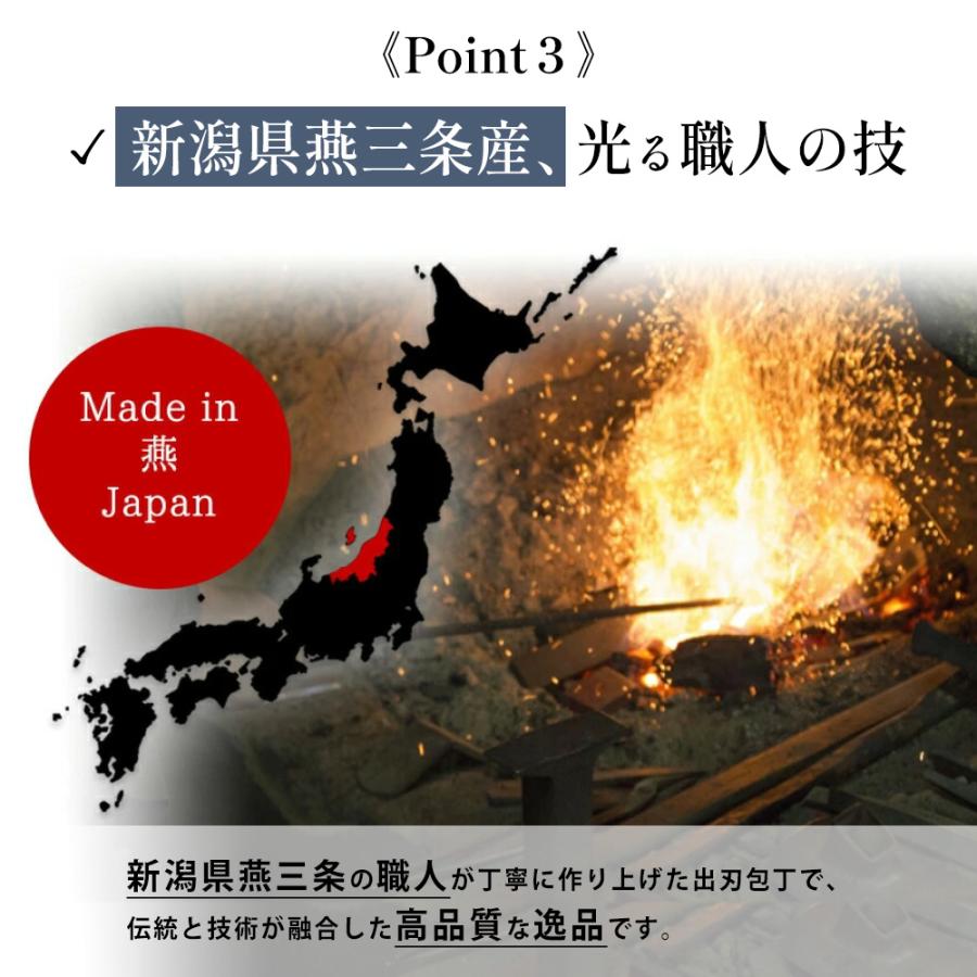 包丁 出刃包丁 16cm 日本製 燕三条製造 魚 特選職人工房 専用箱入れ キッチン ほうちょう ステンレス製 魚 調理 料理 キッチン用品 | STYLENEO | 10