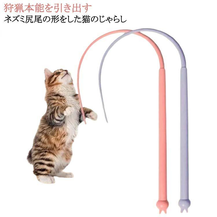 猫のしっぽ 大切な猫のしっぽ【お手入れ動画付き】 - たかくらとくらす Takakura