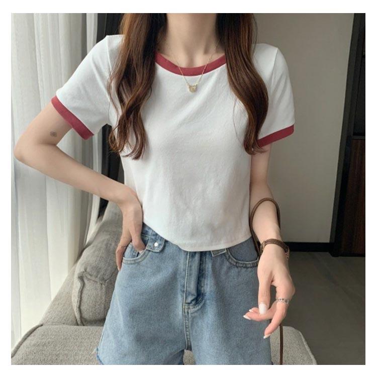 【美品・IC確認済み】プラダ　クロップド丈 リンガーtシャツ　半袖　バイカラー 半袖 Tシャツ リンガーTシャツ レディース カットソー トップス バイ