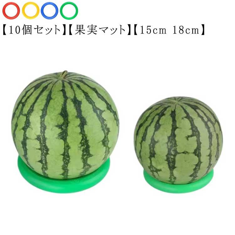 スイカ台 リング 輪っか 18cm 15cm すいか用 果物用 固定 かぼちゃ 10