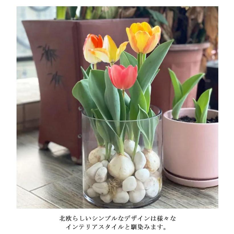 フラワーベース 北欧 ガラス おしゃれ 小さい フラワーギフト フラワー