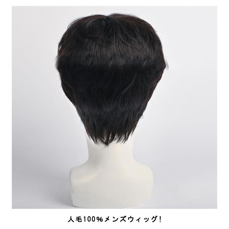 人毛100% メンズウィッグ 男性用かつら メンズウイッグ 医療用 人毛100% メンズウィッグ 男性用かつら メンズウイッグ 医療用